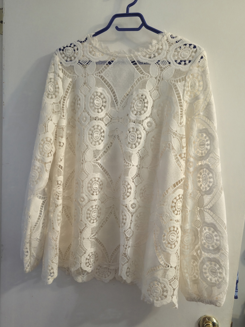Penningtons Cream Lace Long-Sleeve Blouse NWOT